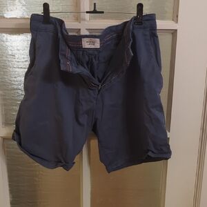 Marine Layer Blue Flat Front Shorts